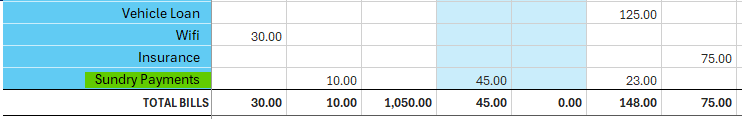 A row for Sundry costs that don't need to be individually tracked. Sundry payments in a budget