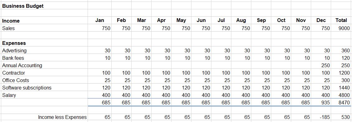 Example of Business Budget for 12 Months